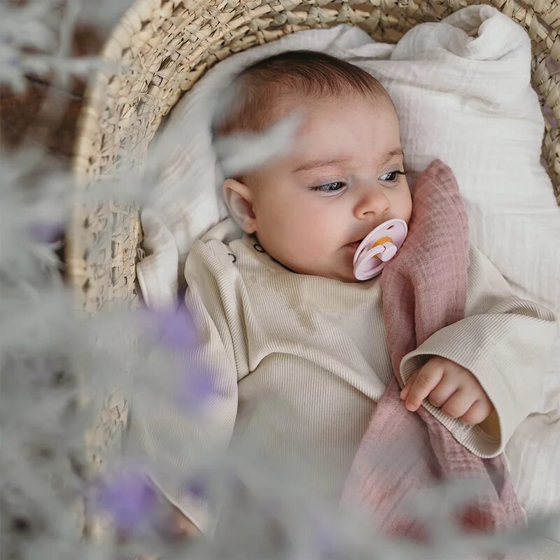 BIBS Colour Natural Rubber Size 1: 0+ months биберон Haze / Blossom 2 бр.