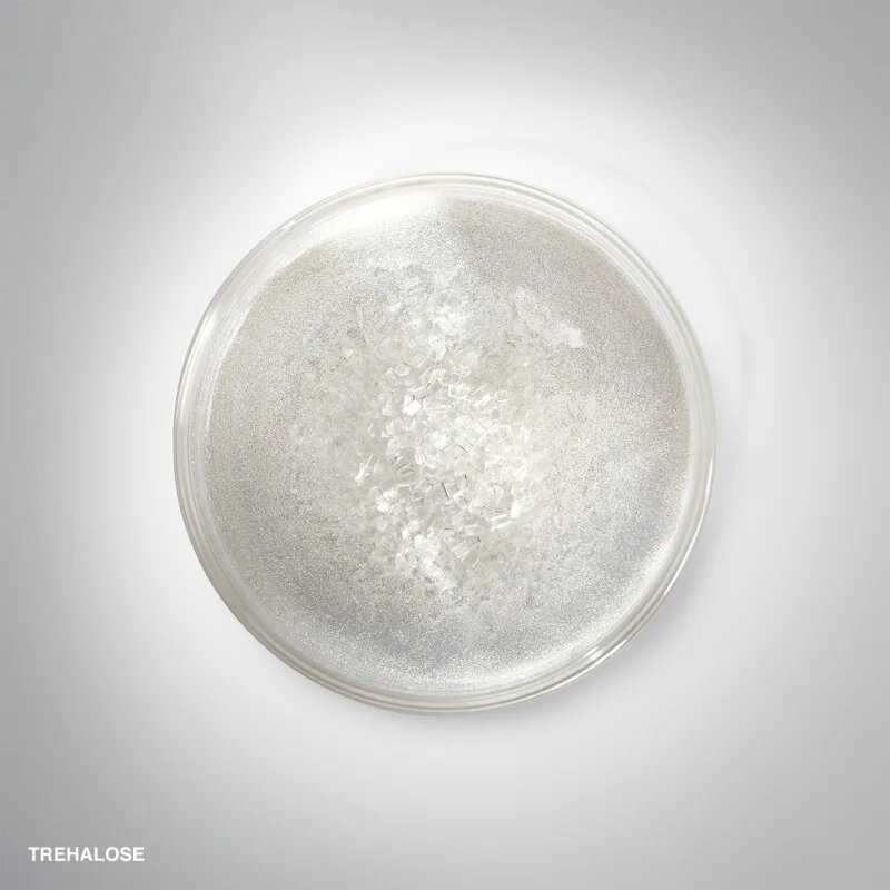 Bobbi Brown Hydrating Face Cream хидратиращ крем за всички типове кожа на лицето 50 гр.