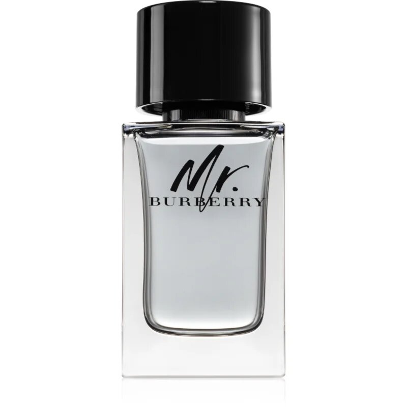 Burberry Mr. тоалетна вода за мъже 100 мл.