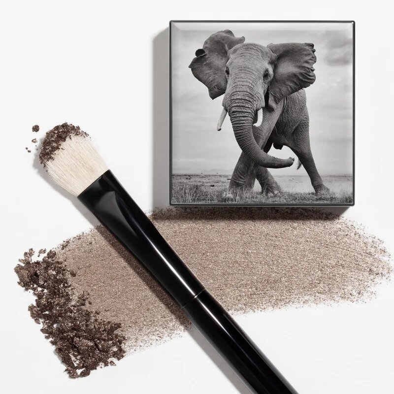 Chantecaille Shade and Sweep Eye Brush плоска четка за сенки за очи 1 бр.