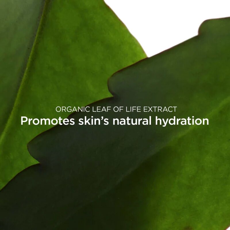 Clarins Fresh Scrub Refreshing Cream Scrub крем-пилинг за подхранване на кожата на лицето и поддържане на естествената хидратация 50 мл.