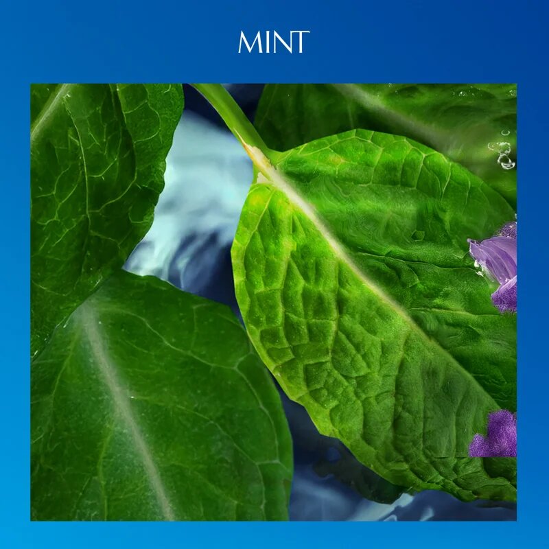 Davidoff Cool Water Eau de Toilette тоалетна вода за мъже 40 мл.