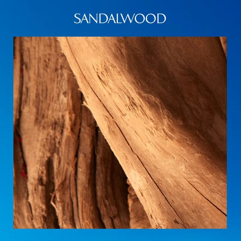 Davidoff Cool Water Parfum парфюм за мъже 100 мл.