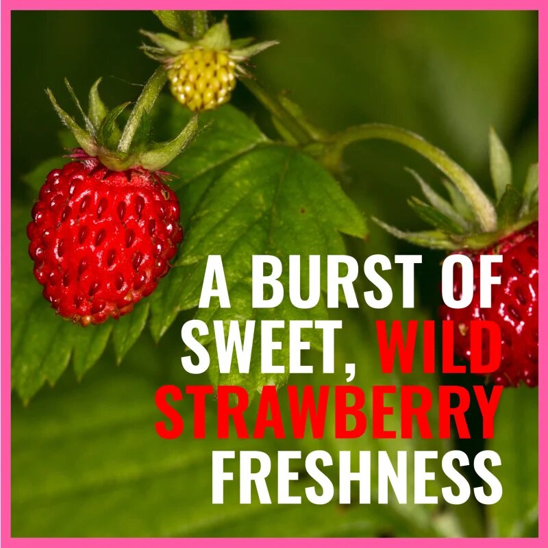 Dermacol Aroma Moment Wild Strawberries пяна за вана малка опаковка 2x15 мл.
