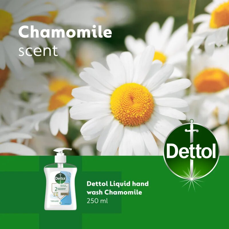 Dettol Soft on Skin Gentle Chamomile течен сапун за ръце 250 мл.