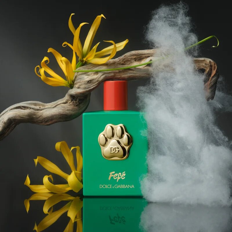 Dolce&Gabbana Fefé fragrance mist for dogs парфюмна мъгла унисекс 100 мл.