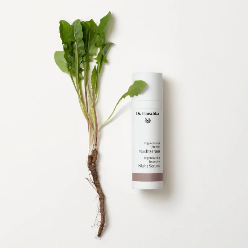 Dr. Hauschka Regeneration Intensive нощен серум против бръчки 30 мл.