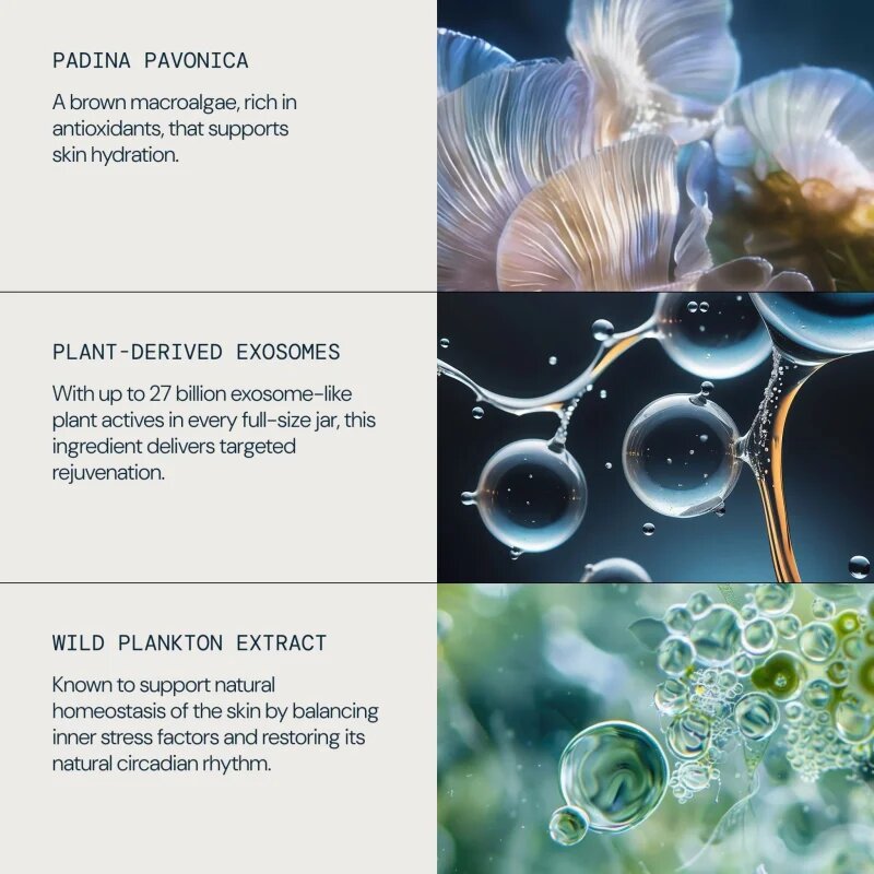 Elemis Dynamic Resurfacing Facial Pads ексфолиращи тампони за лице за освежаване и изглаждане на кожата 60 бр.