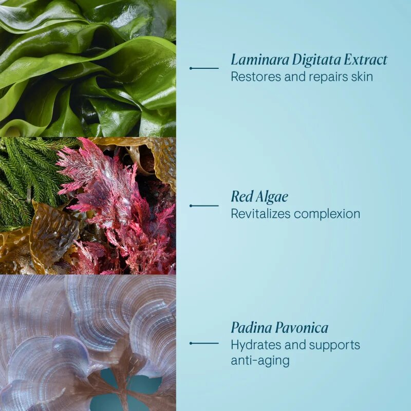 Elemis Pro-Collagen Night Cream стягащ нощен крем против бръчки 50 мл.