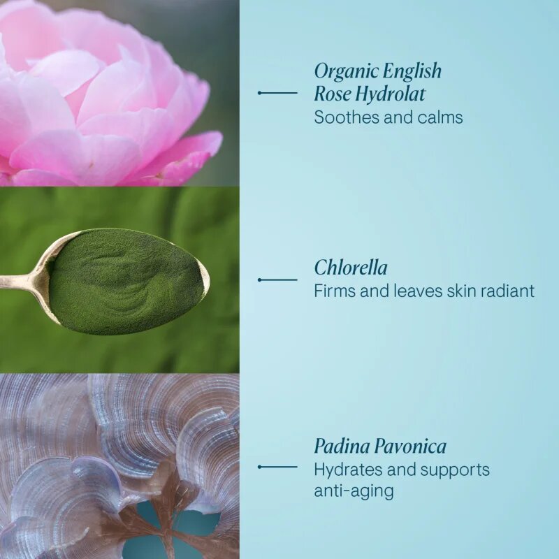 Elemis Pro-Collagen Rose Marine Cream хидратиращ гел-крем за стягане на кожата 30 мл.
