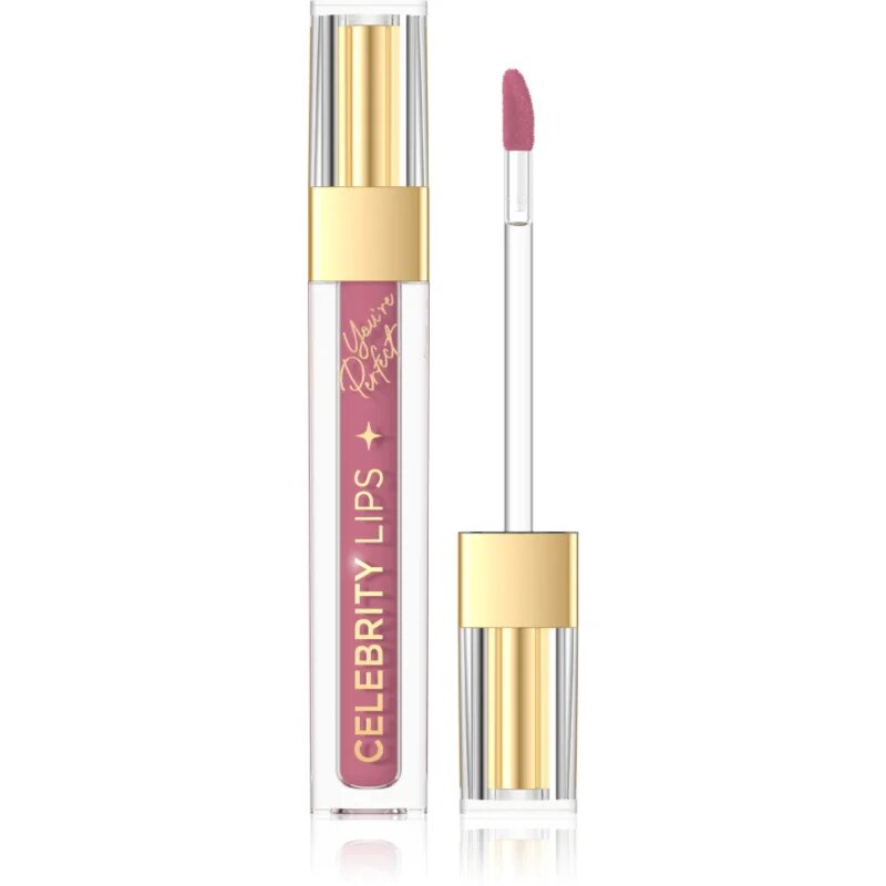 Eveline Cosmetics Celebrity Lips дълготрайно матово течно червило цвят 06C 4 мл.