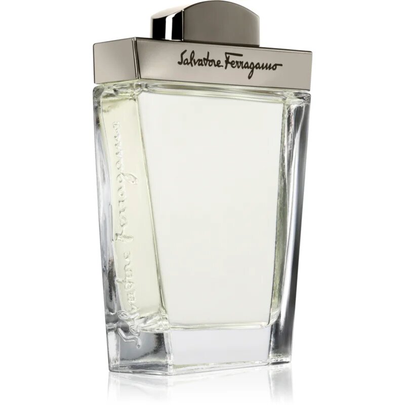 Ferragamo Pour Homme тоалетна вода за мъже 100 мл.