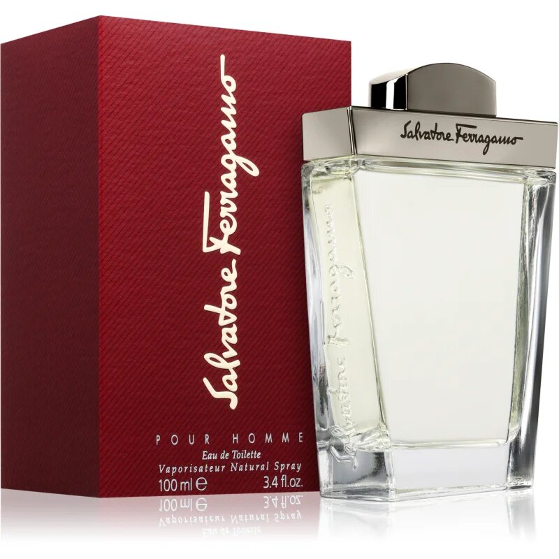 Ferragamo Pour Homme тоалетна вода за мъже 100 мл.