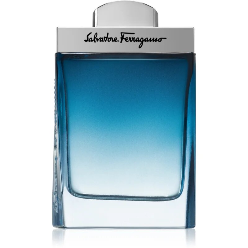 Ferragamo Subtil Pour Homme тоалетна вода за мъже 100 мл.