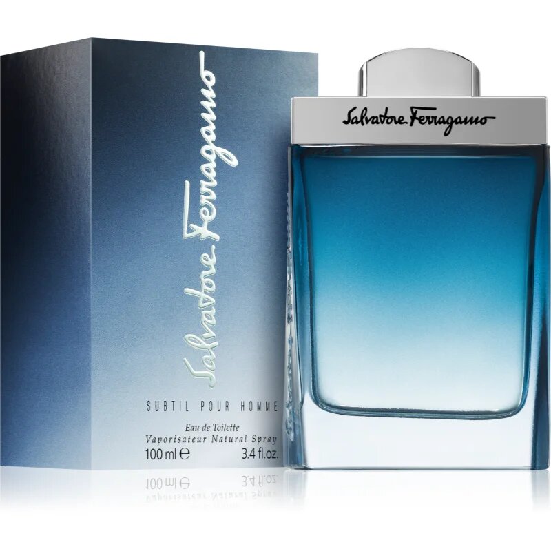 Ferragamo Subtil Pour Homme тоалетна вода за мъже 100 мл.