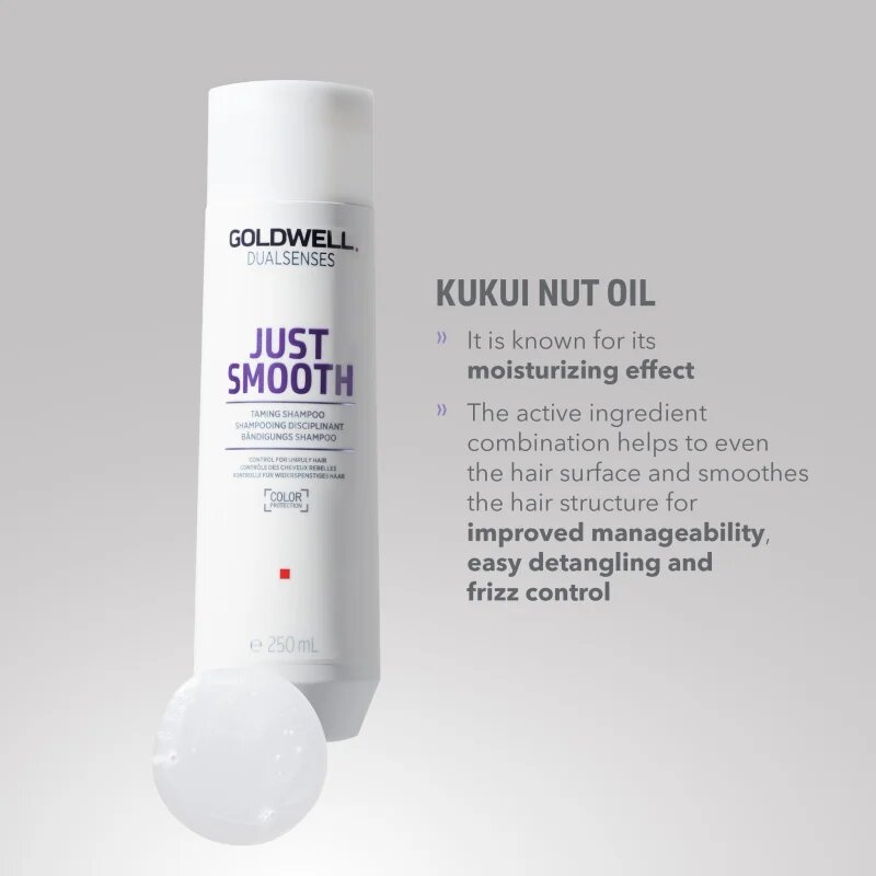 Goldwell Dualsenses Just Smooth изглаждащ шампоан за непокорна коса 250 мл.