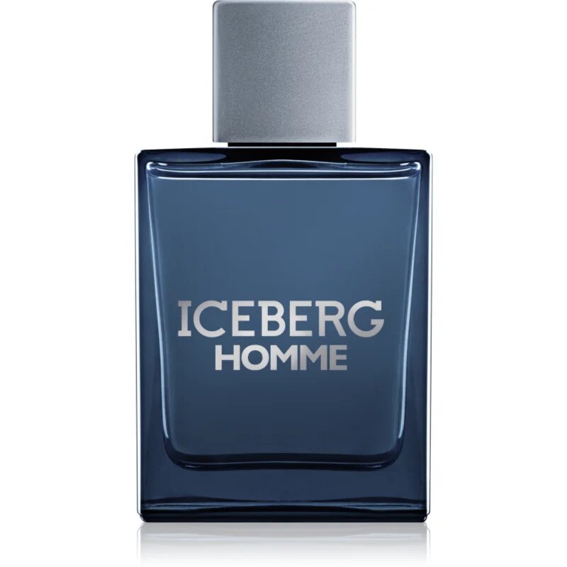 Iceberg Homme тоалетна вода за мъже 100 мл.