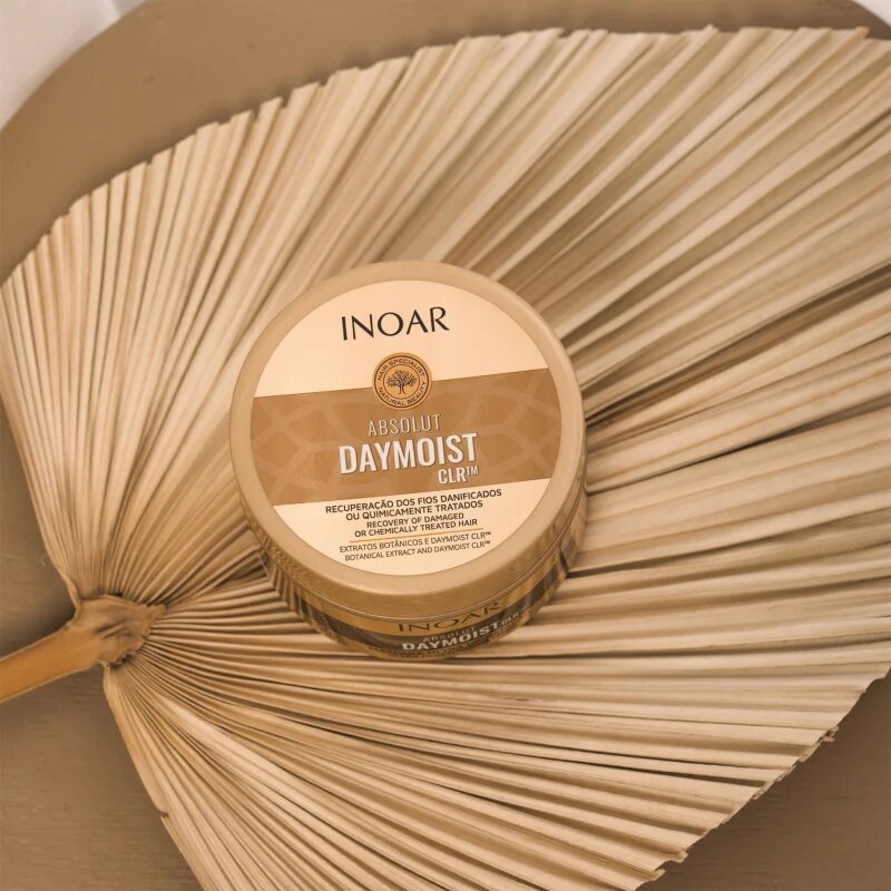 INOAR Absolut Daymoist CLR™ интензивна хидратираща маска за суха и боядисана коса 250 гр.