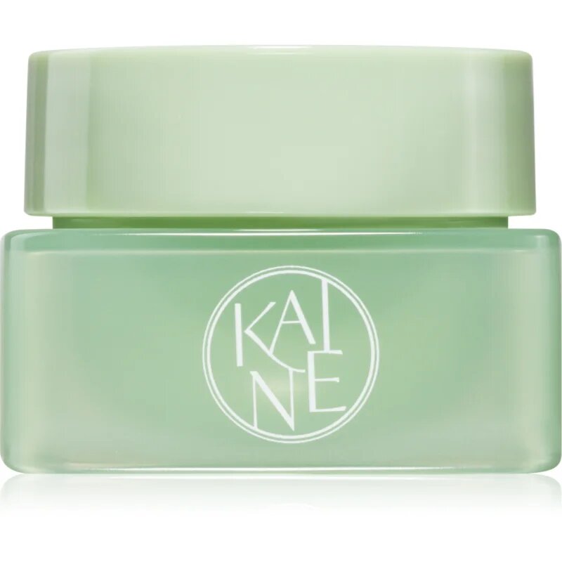 KAINE Travel Kit комплект за пътуване за перфектна кожа