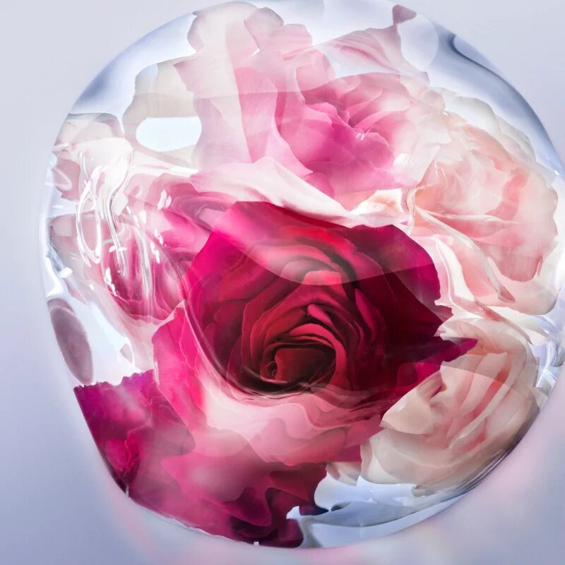 Lancôme La Vie Est Belle Rose Extraordinaire парфюмна вода за жени 30 мл.