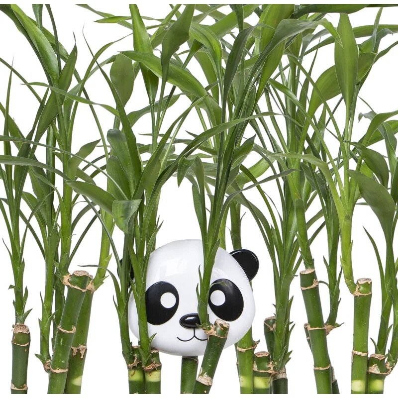 Melii Snack Container кутия за закуска Panda 232 мл.
