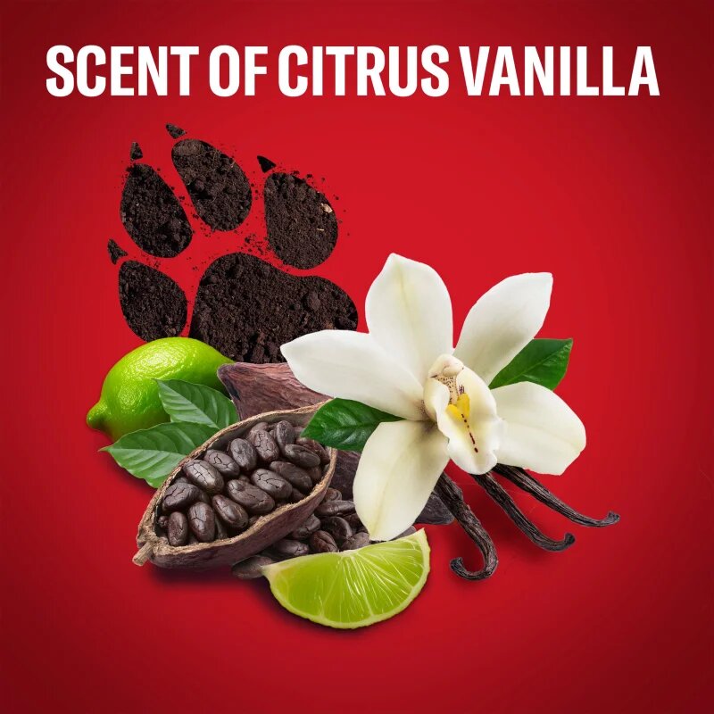 Old Spice Nightpanther Wild Explorer Set подаръчен комплект за мъже