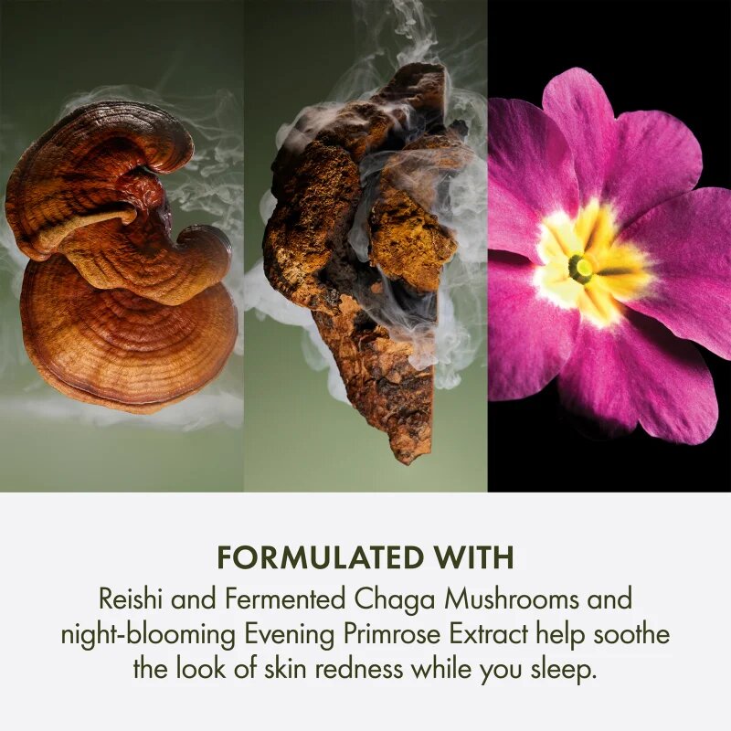 Origins Dr. Andrew Weil for ™ Mega-Mushroom Overnight Recovery Cream успокояваща и хидратираща маска за нощ 50 мл.