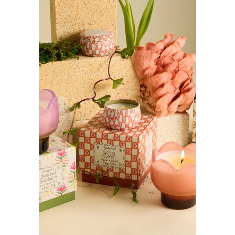 Paddywax Tulip Cactus Flower ароматна свещ 155 гр.