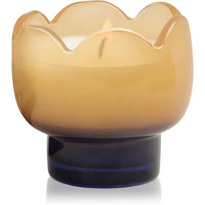 Paddywax Tulip Garden & Grove ароматна свещ 155 гр.