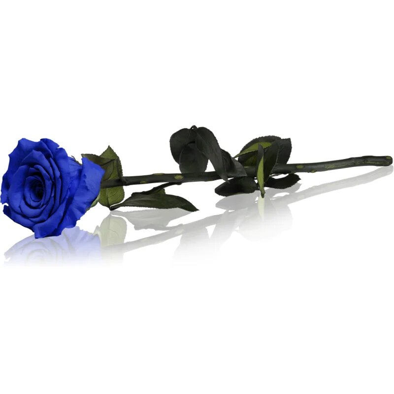 RoseAmor Blue стабилизирана роза стрък 1 бр.