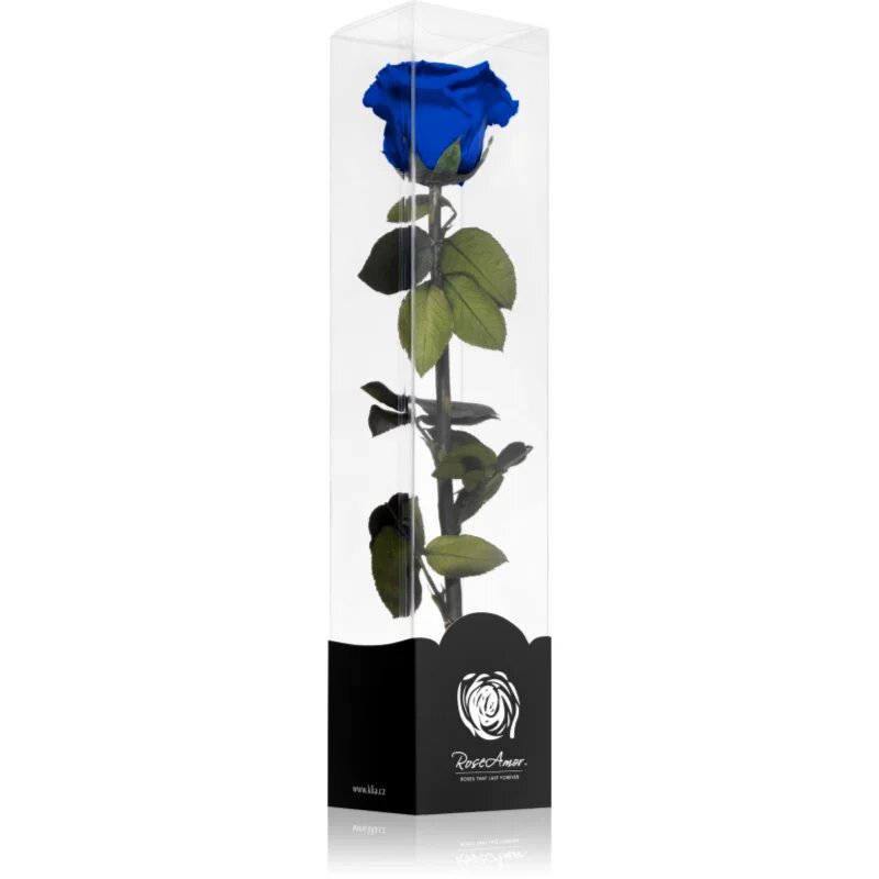 RoseAmor Blue стабилизирана роза стрък 1 бр.
