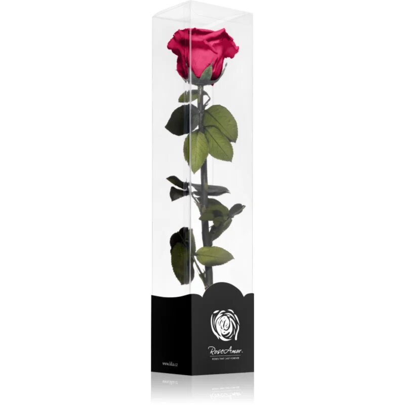 RoseAmor Fuchsia стабилизирана роза стрък 30 см 1 бр.