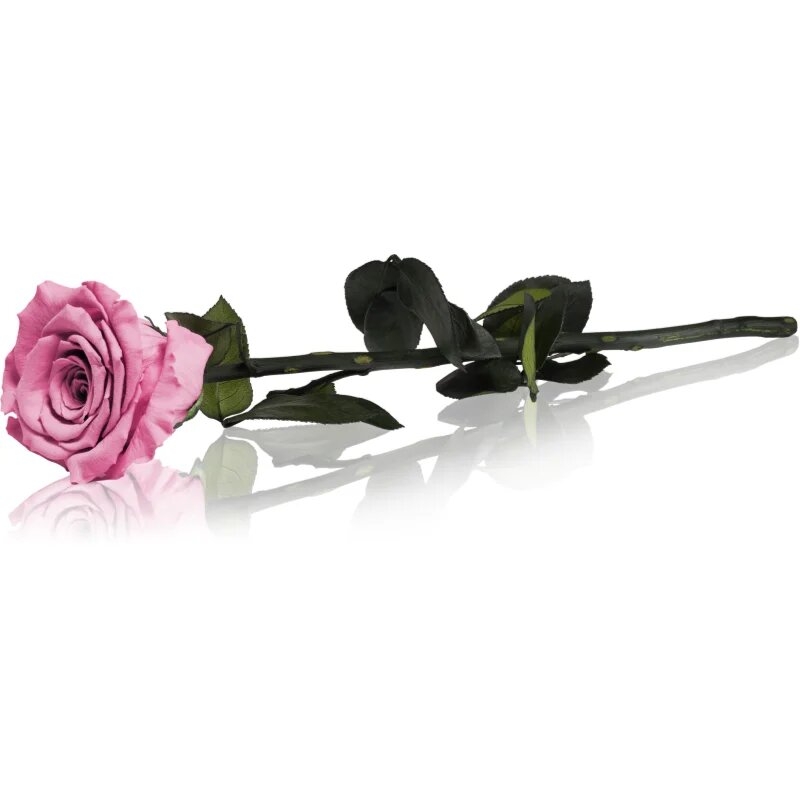 RoseAmor Pink стабилизирана роза стрък 30 см 1 бр.