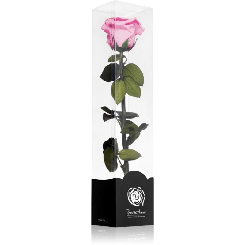 RoseAmor Pink стабилизирана роза стрък 30 см 1 бр.