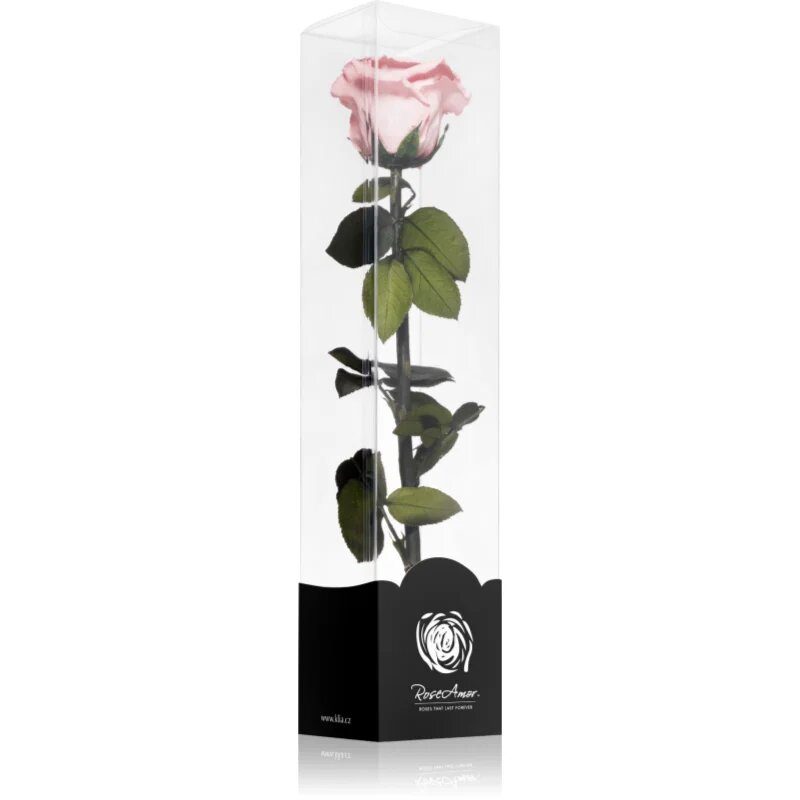 RoseAmor Pink стабилизирана роза стрък 30 см 1 бр.