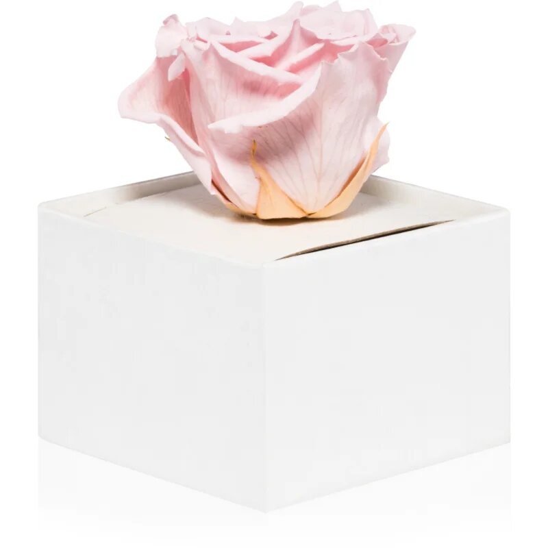 RoseAmor Pink стабилизирана роза в кутия 1 бр.