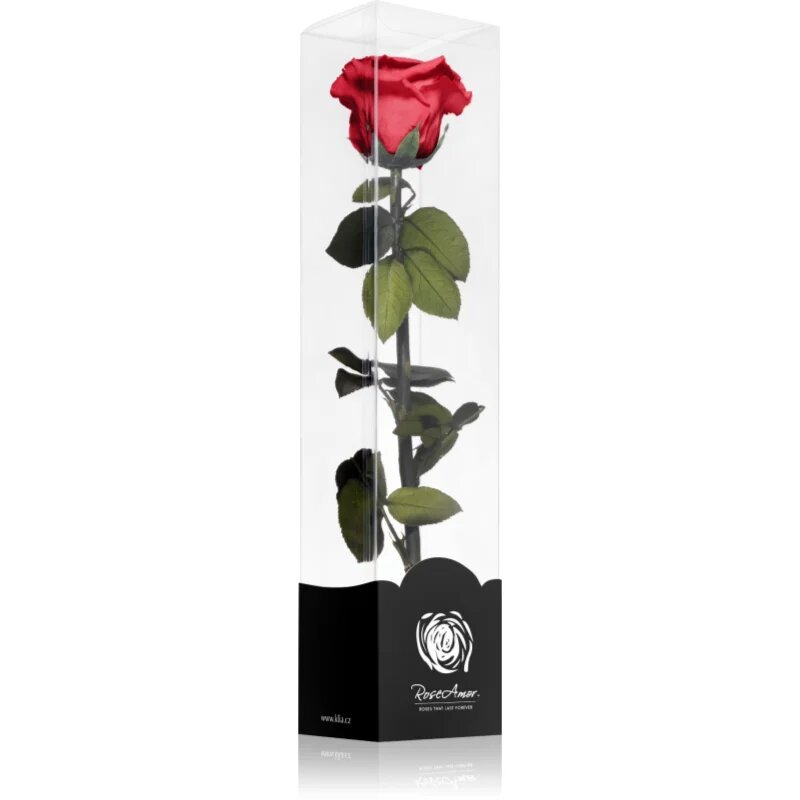 RoseAmor Red стабилизирана роза стрък 30 см 1 бр.