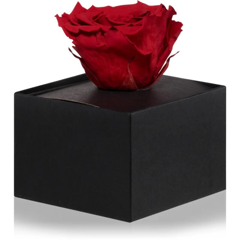RoseAmor Red стабилизирана роза в кутия 1 бр.