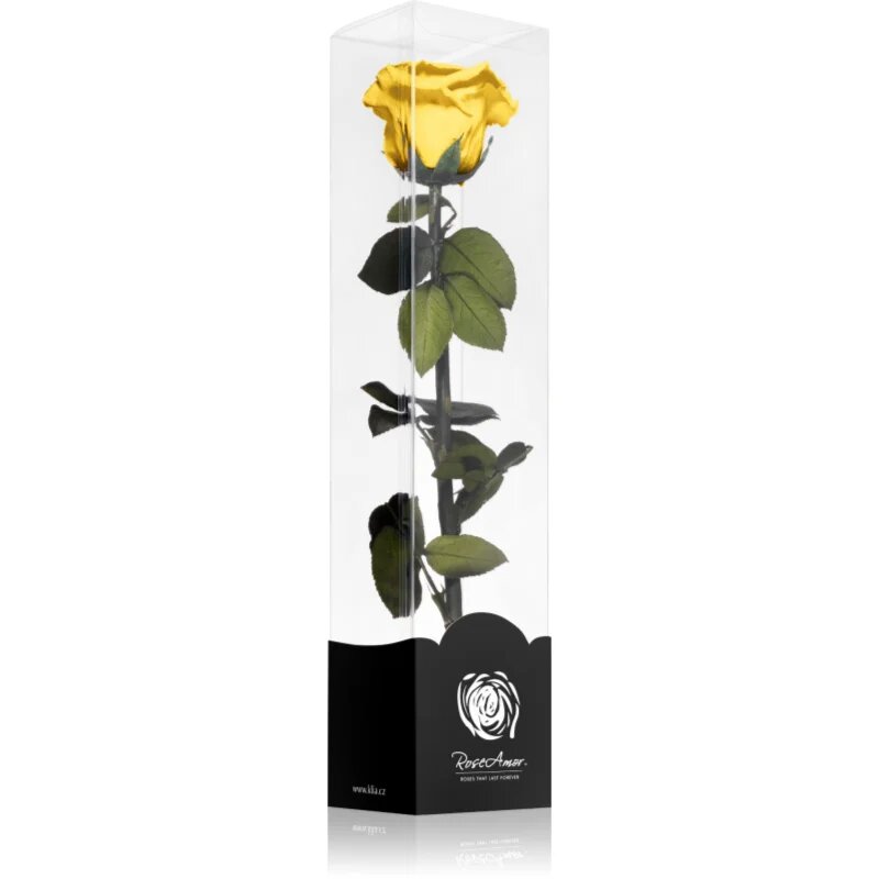 RoseAmor Yellow стабилизирана роза стрък 30 см 1 бр.