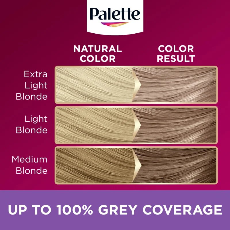 Schwarzkopf Palette Deluxe перманентната боя за коса цвят 9-11 Cool Light Grey Rose 1 бр.