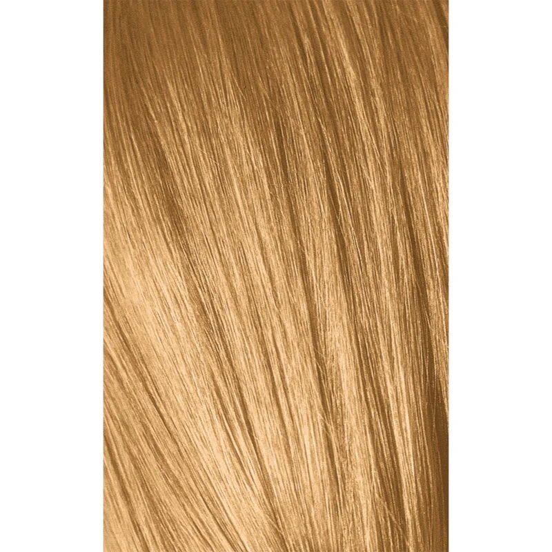 Schwarzkopf Professional IGORA Royal Absolutes боя за коса цвят 9-50 Extra Light Blonde Gold Natural 60 мл.