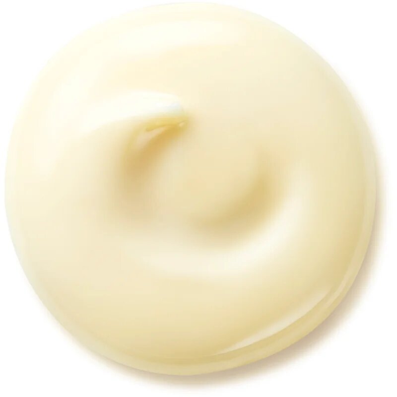 Shiseido Benefiance Wrinkle Smoothing Day Cream дневен крем против бръчки SPF 25 50 мл.