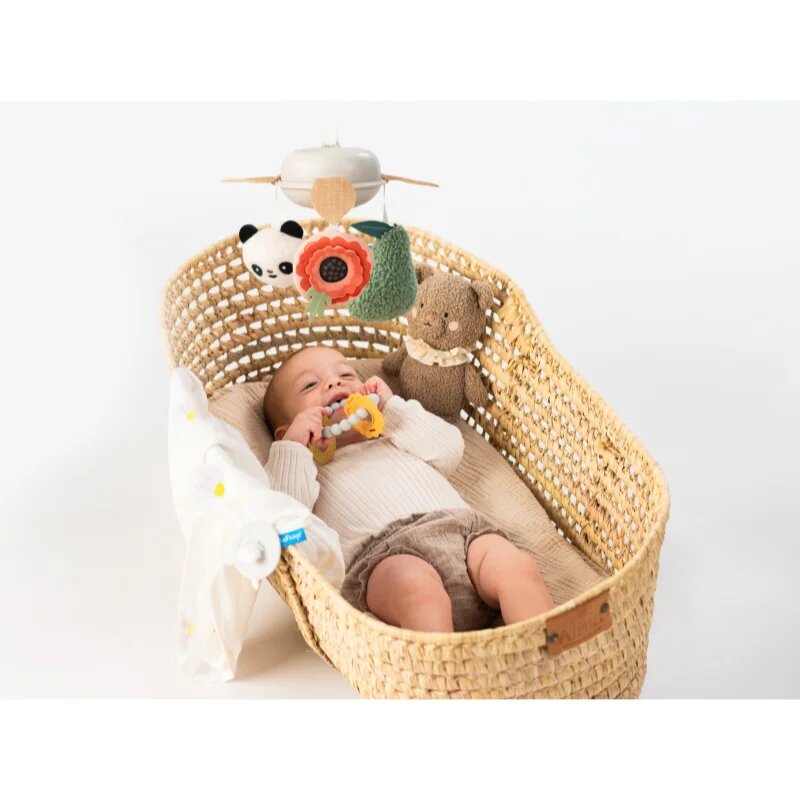 Taf Toys Luxury Newborn Kit подаръчен комплект за бебета