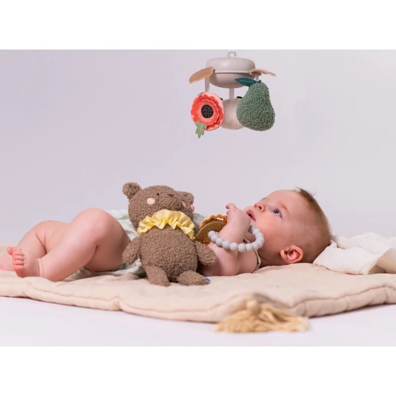 Taf Toys Luxury Newborn Kit подаръчен комплект за бебета