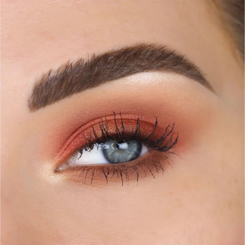 theBalm Male Order® First Class Male палитра сенки за очи 13.2 гр.