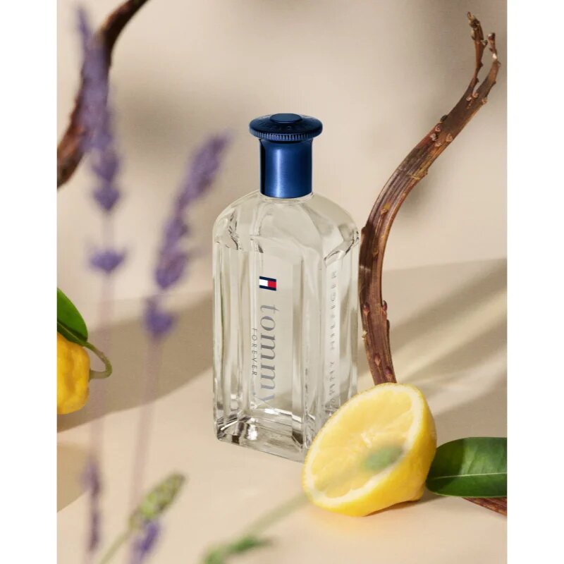 Tommy Hilfiger Tommy Forever тоалетна вода за мъже 100 мл.