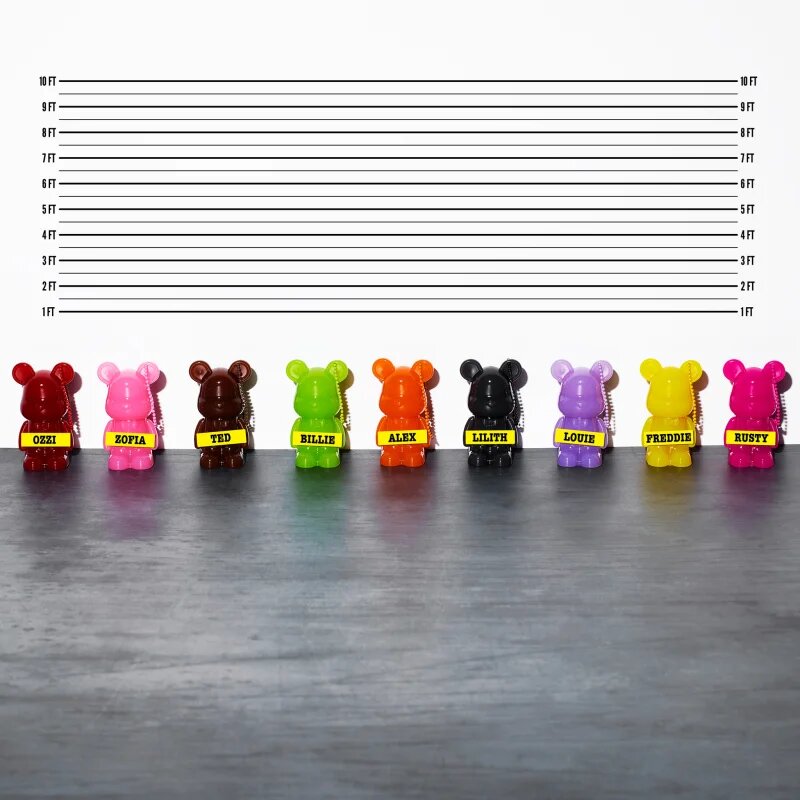 Trouble Maker Feral Teddy Mystery Plumping Lip Gloss блясък за устни с увеличаващ ефект 1.1 мл.
