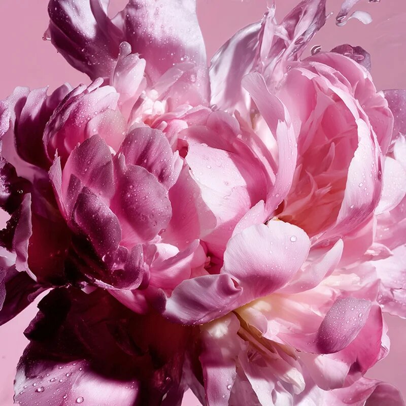 Viktor & Rolf Flowerbomb Pretty Peony парфюмна вода за жени 30 мл.