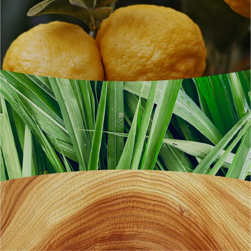 Woodwick Yuzu & Vetiver ароматна свещ с дървен фитил 275 гр.