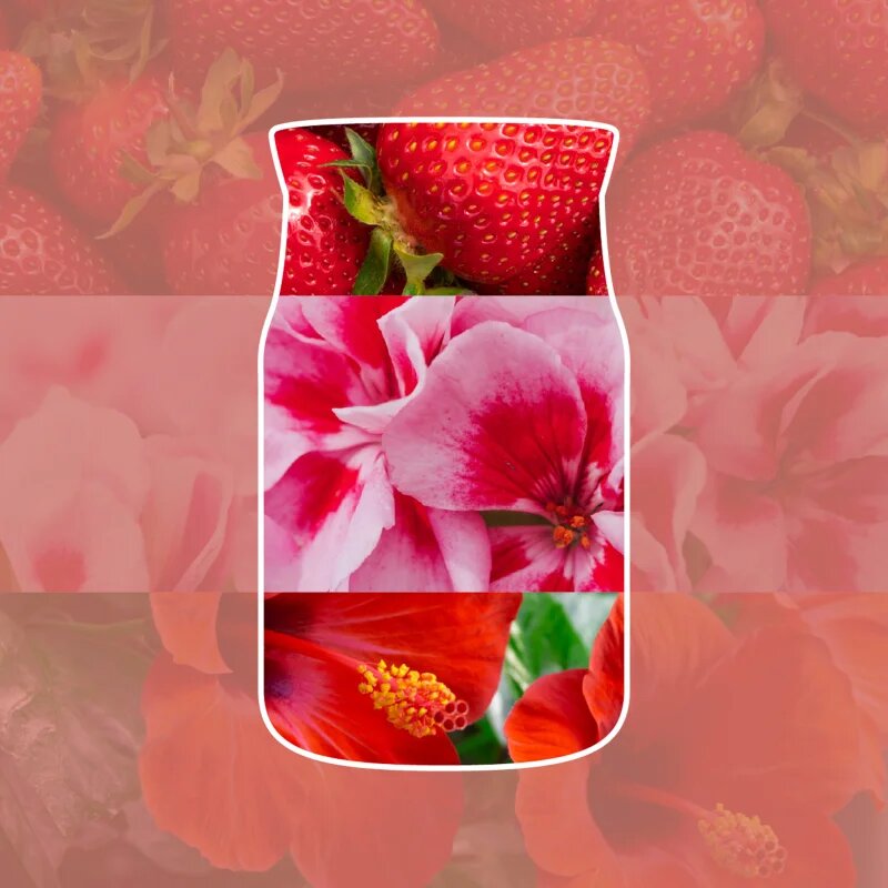 Yankee Candle Cliffside Sunrise ароматна свещ 368 гр.
